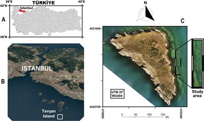 Comparative analyses for determining shallow water bathymetry potential of multispectral UAVs: case study in Tavşan Island, Sea of Marmara